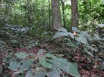 45731CIMG2816.JPG