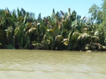 54692Bulungan (187).JPG