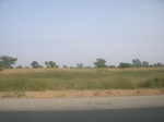 9123RIMG0203.JPG