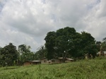 49488CIMG5825.JPG