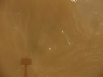58145CIMG2561.JPG