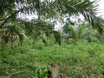 46003CIMG0292.JPG