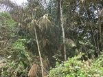 49060CIMG5397.JPG