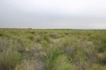 25987SOUTH-IMG_1439.JPG