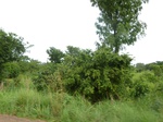 20838P1020698.JPG