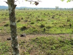 31975IMG_5623.JPG