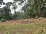 49505CIMG5842.JPG