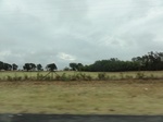 35765DSC02524.JPG