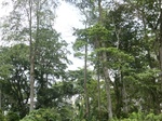 49441CIMG5778.JPG