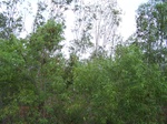 1692602052008(85).JPG