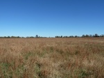 26164P1060849.JPG