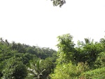 16321IMG_5097.JPG