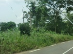 49239CIMG5576.JPG