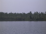 635R0015143.jpg