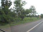 26668IMG_2953.JPG