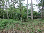 46468CIMG0757.JPG