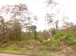 54835Berau (125).JPG