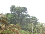 49120CIMG5457.JPG