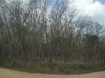 27873IMG_4878.JPG