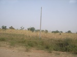 9115RIMG0195.JPG