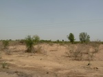 19079P1000924.JPG