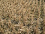 8422IMG_0247.JPG