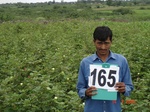 126040165a-irrigated-supplemental-major-lift-irrigation-maize-cotton-doublecrop-wheat-onion.gif
