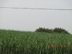 33094CIMG2329.JPG