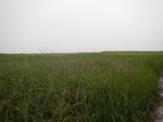 54447DSCN1728.JPG