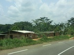 49417CIMG5754.JPG
