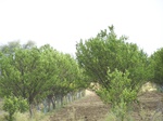 532901052008(19).JPG