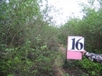 1173316-road-buldozer-minor.jpg
