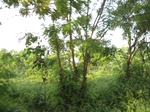 14159IMG_4496.JPG