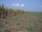 27760RIMG0040.JPG
