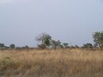 1681601052008(31).JPG