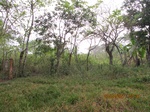 30051IMG_5339.JPG