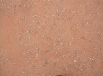 9801IMG_0078.JPG