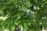 2024-08-05_17-09-26_EBBF7BBA-592F-4D6B-8544-3A010FA5DE6A.jpeg