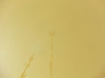 58460CIMG2910.JPG