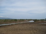 14277IMG_4617.JPG