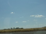 35080DSC01983.JPG