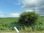 24832DSC01001.JPG