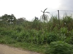 50737CIMG1366.JPG