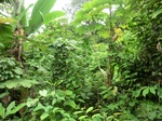 45752CIMG2837.JPG