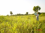 6501gt030-cropland-1.jpg