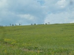 38153P1080078.JPG