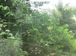 47929CIMG4266.JPG