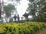 30874CIMG0728.JPG