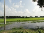 24594DSC00812.JPG