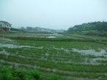 51682CIMG0551.JPG
